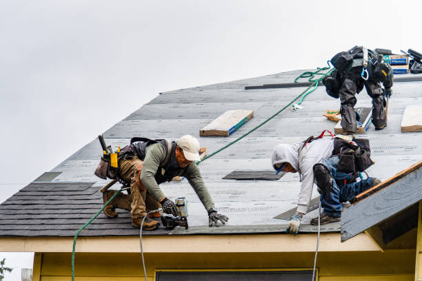 Professional Roofing technician working in Moulton, TX